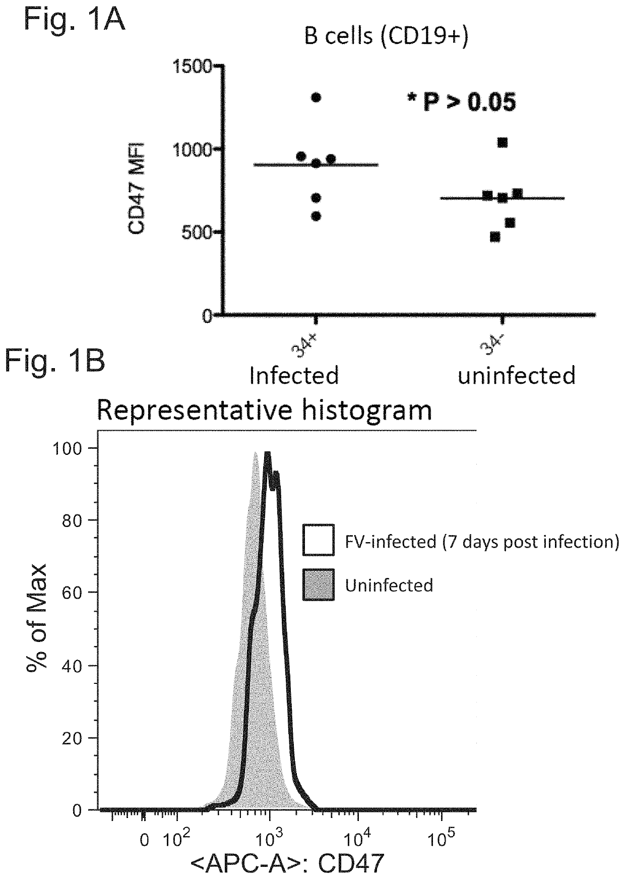 CD47 targeted therapies for the treatment of infectious disease