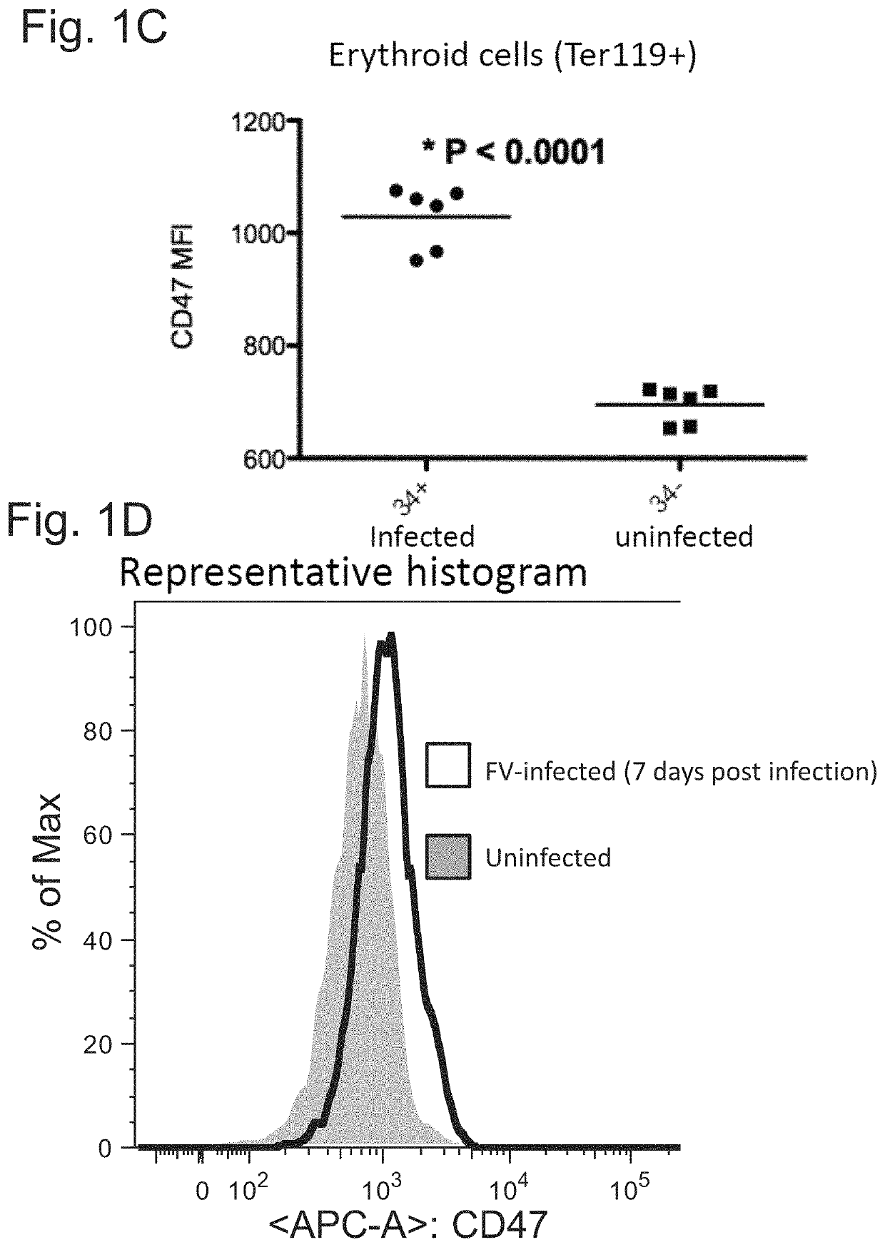 CD47 targeted therapies for the treatment of infectious disease