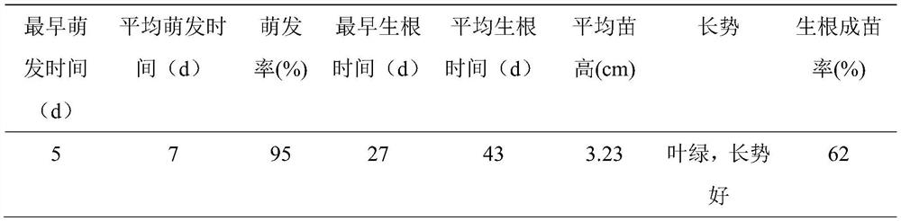 Tissue Culture Method for Rapid Seedling Growth of Intraspecific Hybrid F1 Generation of Sweet Cherry