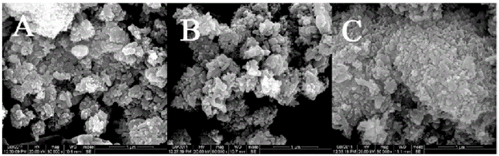 A kind of bioactive glass-ceramic material and its preparation method and application in oral care products