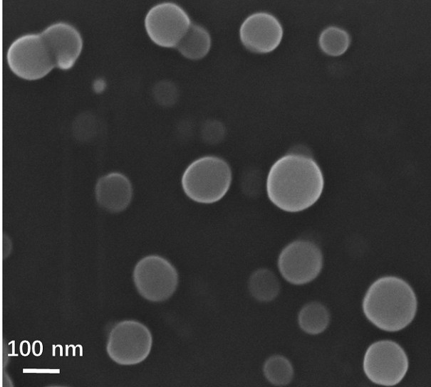 Ruthenium complex nanoscale particle, preparation method and application thereof, and antitumor drug