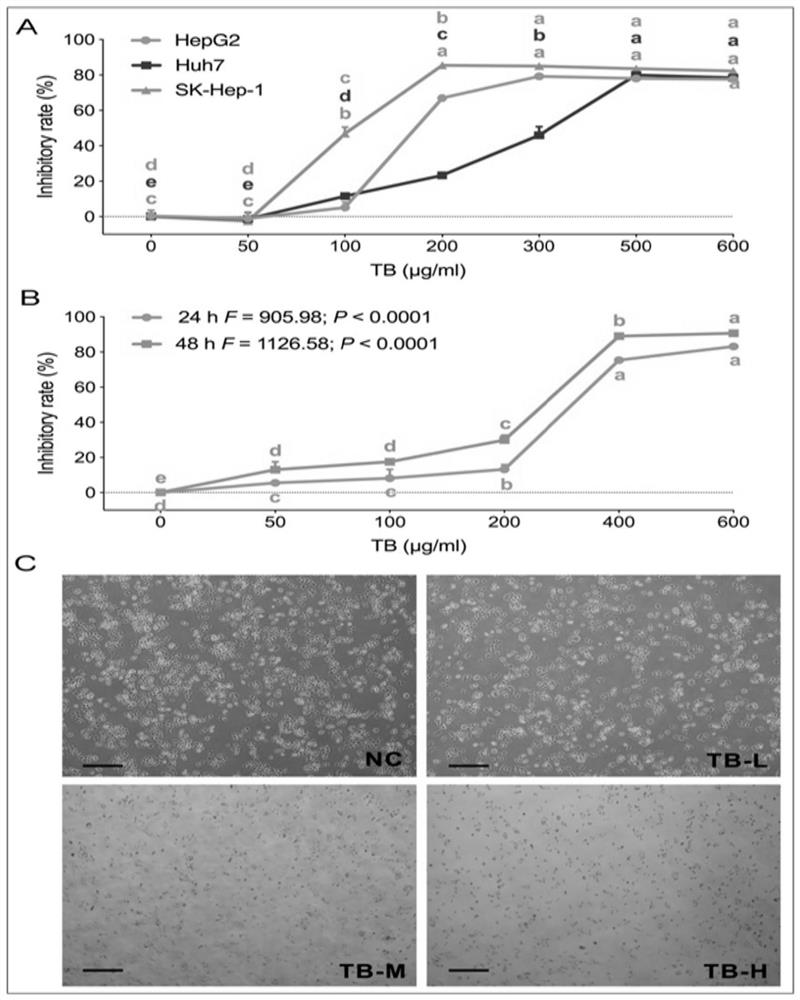 Application of theabrownin in preparation of medicine for treating liver cancer