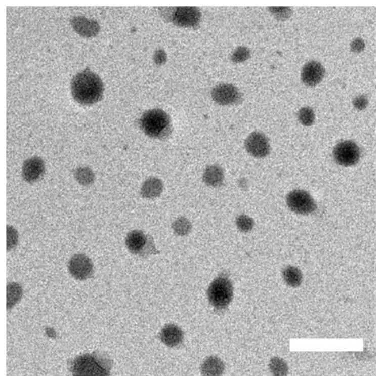 Anti-inflammatory and antioxidant pharmaceutical composition as well as preparation method and application thereof