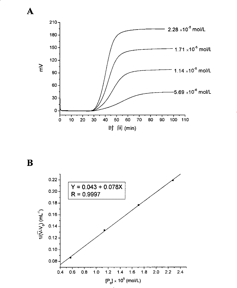 Polypeptide for detecting human cancer cells, and application thereof