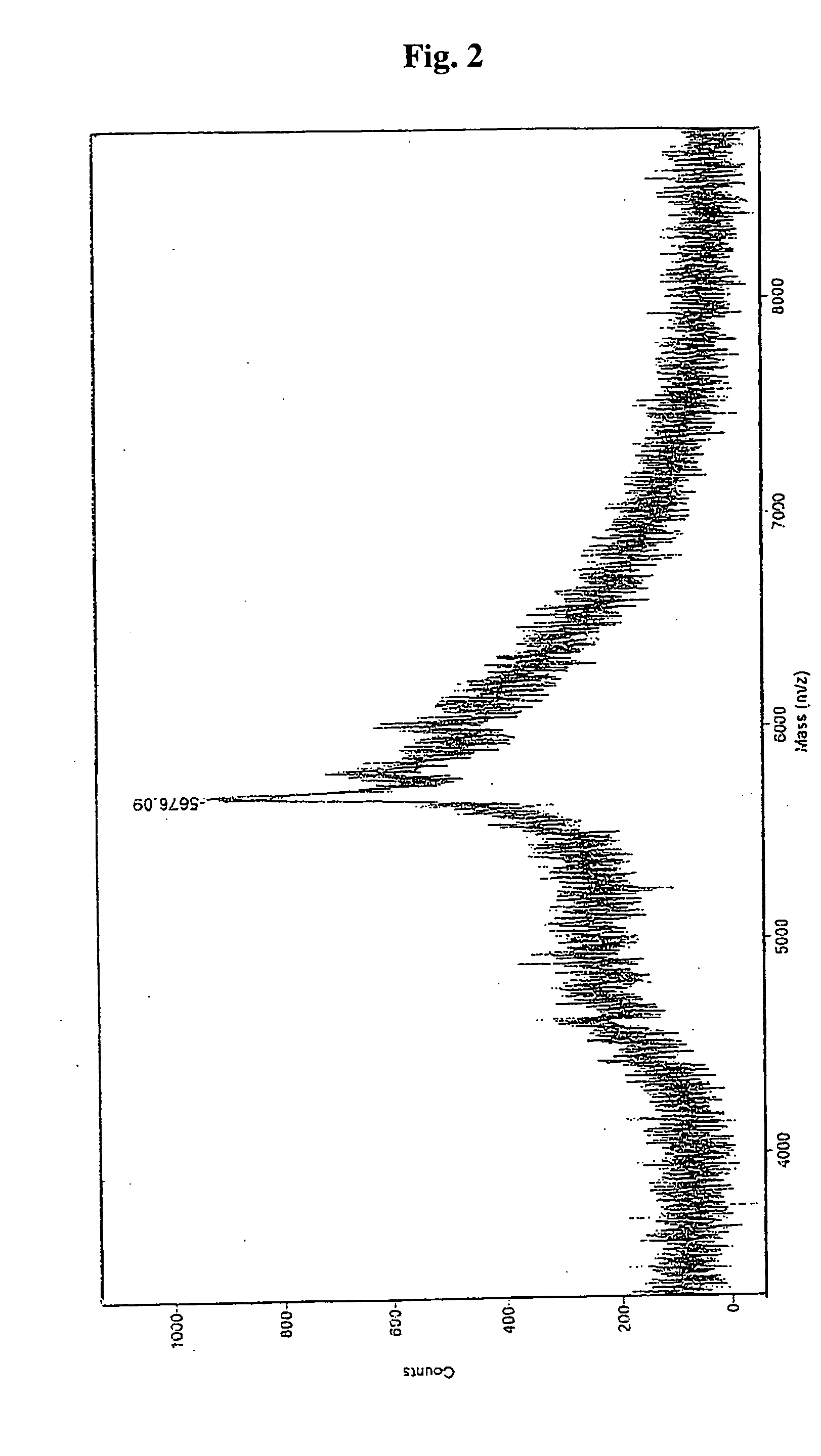 Method For Screening Toxin Neutralizing Peptide, STX2 Inhibiting Peptide And Verotoxin Neutralizing Agent