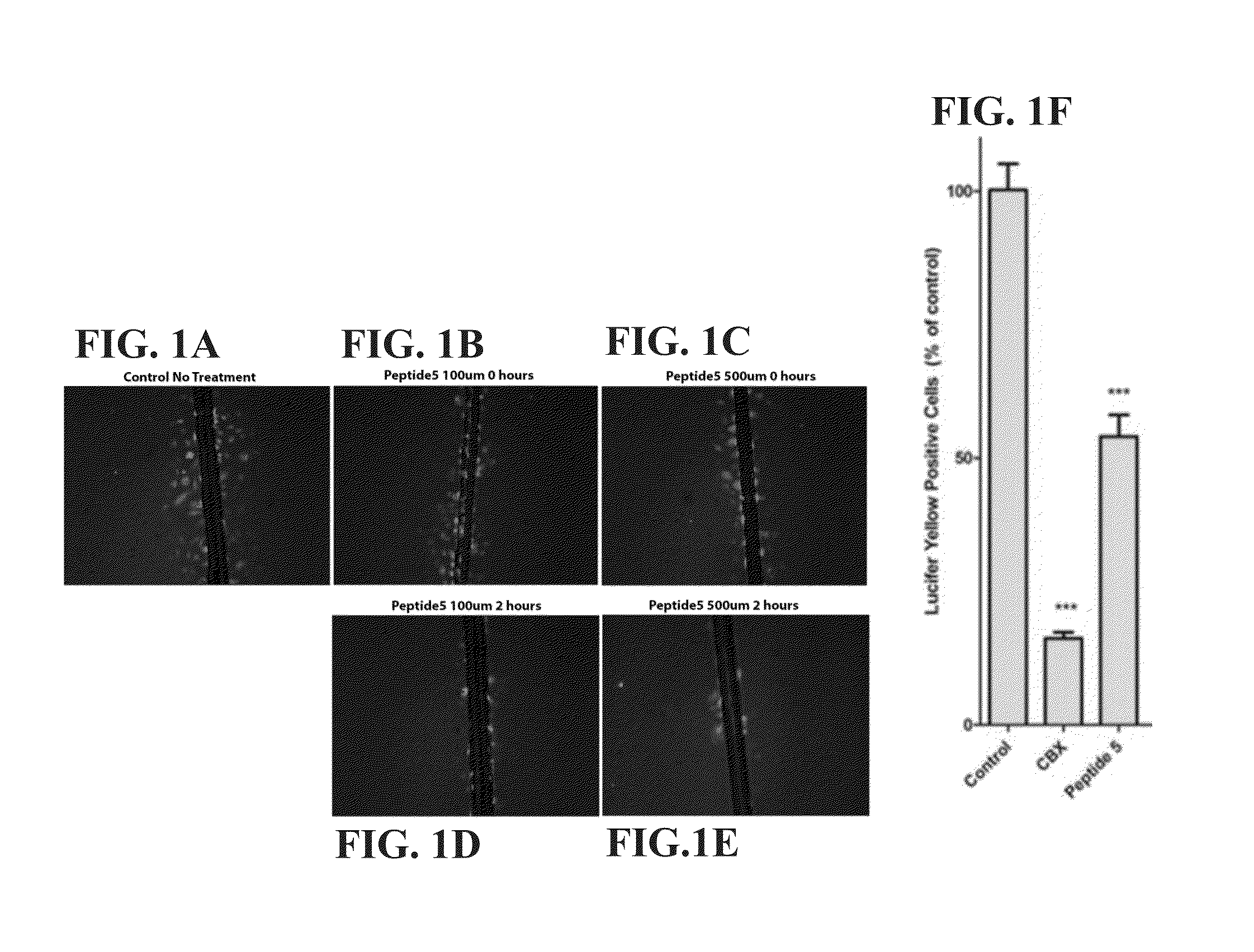 Channel modulators