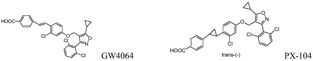 fxr receptor agonist