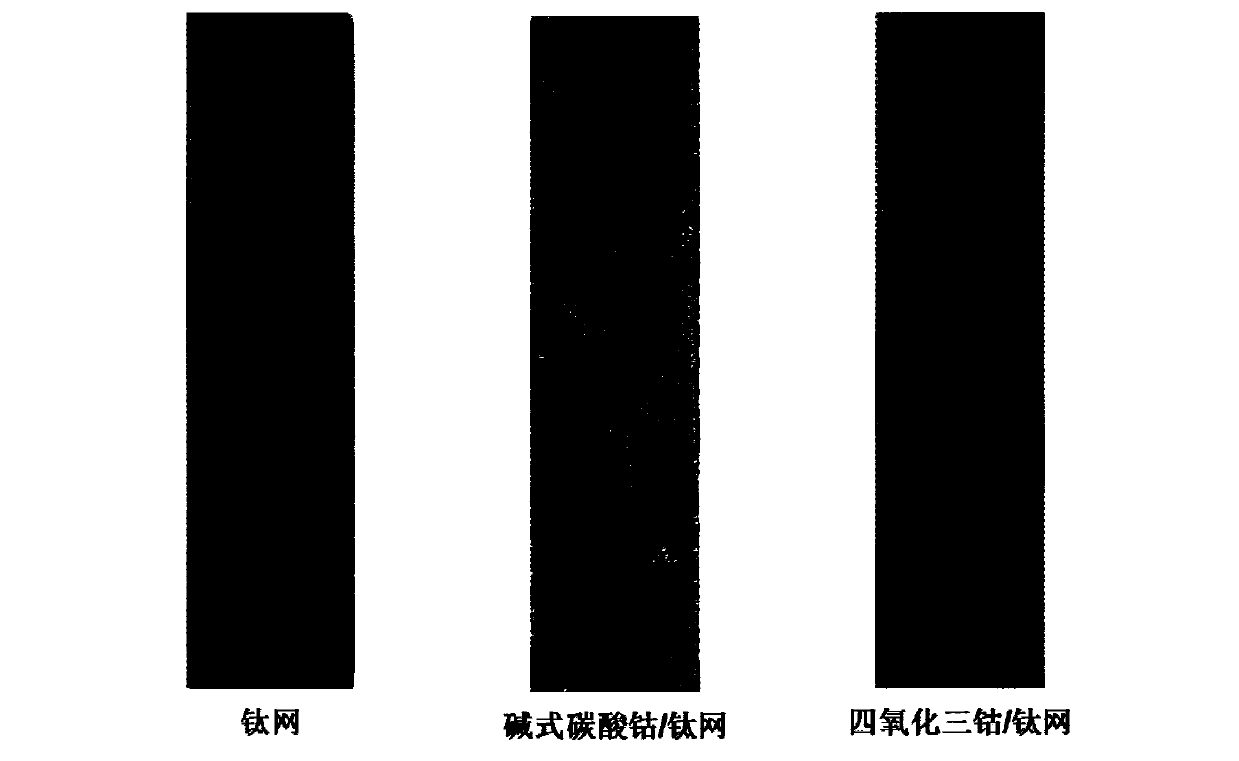 Cobaltosic oxide array/titanium mesh water decomposition oxygen production electrode and preparation method thereof