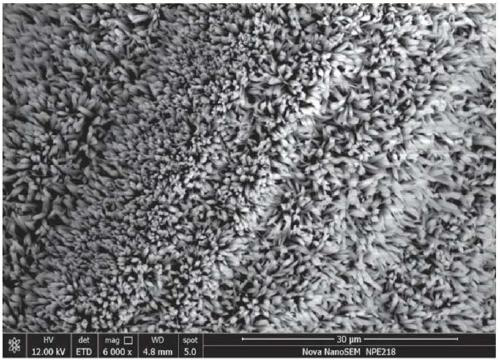 Cobaltosic oxide array/titanium mesh water decomposition oxygen production electrode and preparation method thereof