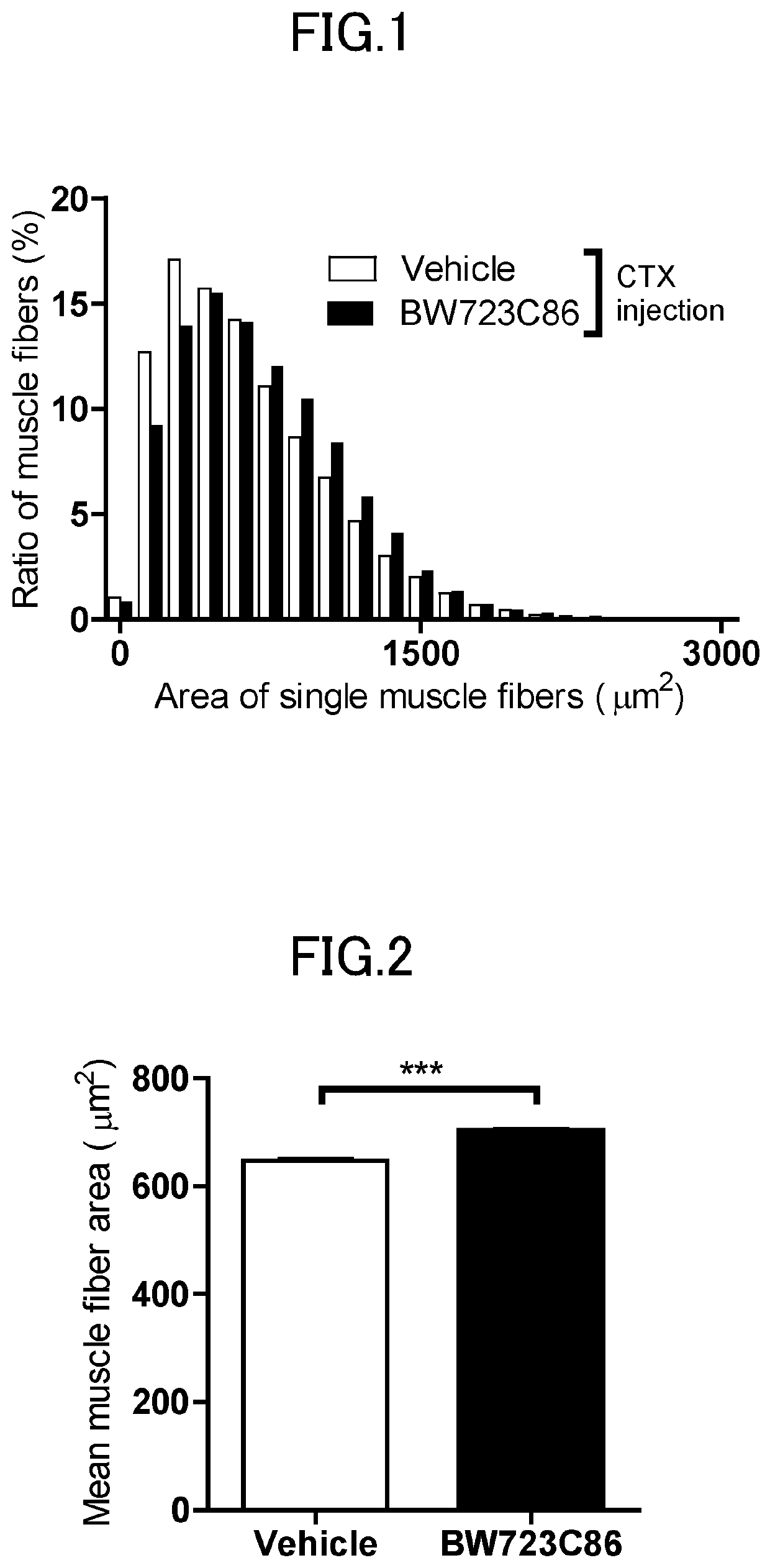 Muscle regeneration promoter