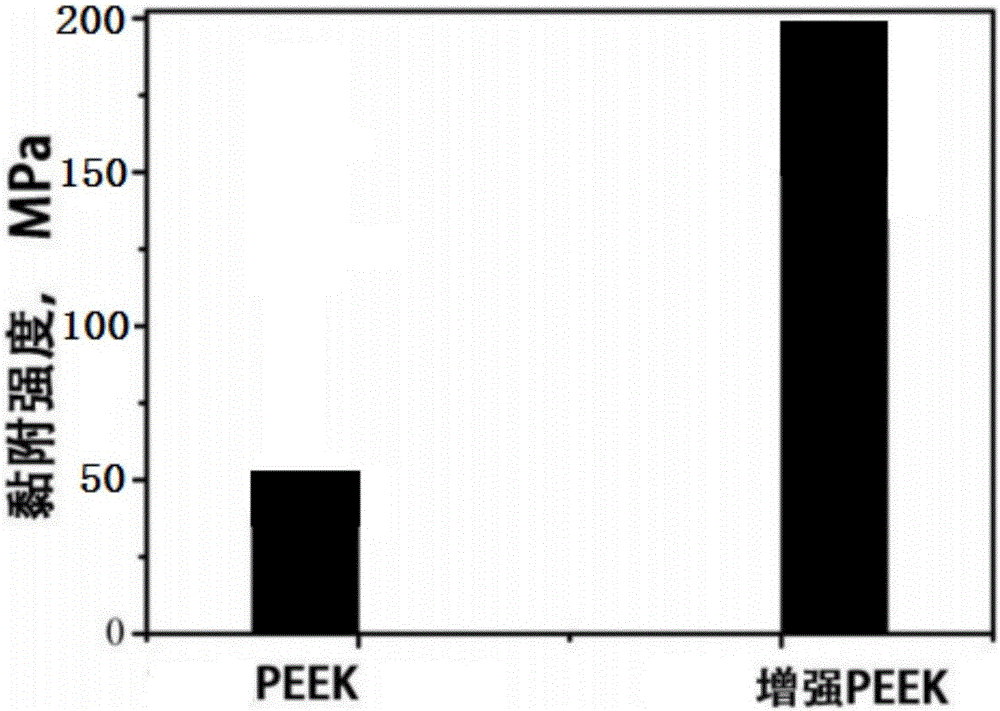 PEEK false tooth composite and preparation method thereof