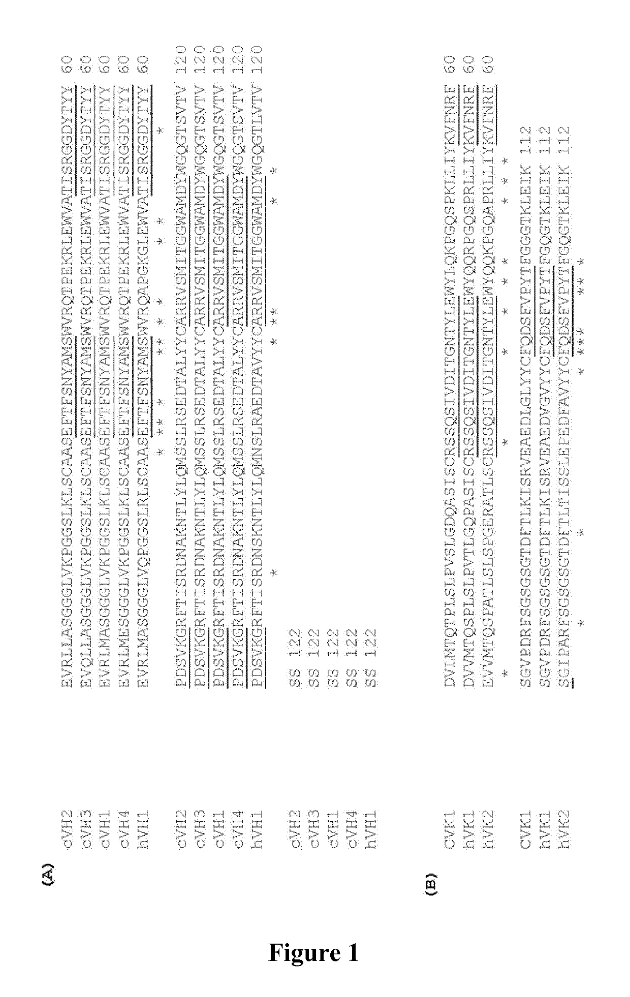 Antibodies to IL-15