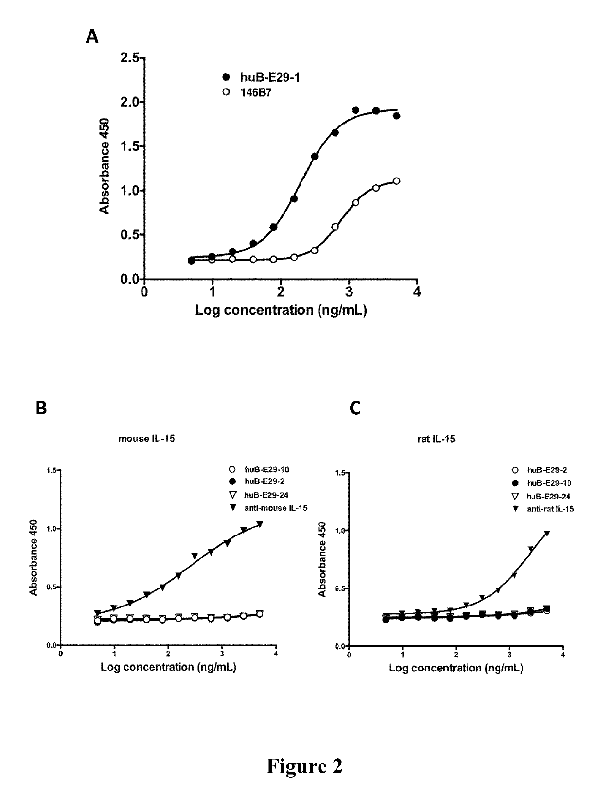 Antibodies to IL-15