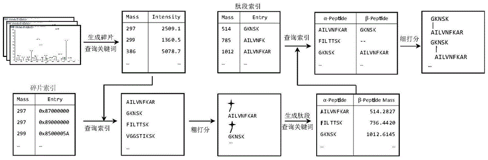 Crosslinking dipeptide rapid identification method