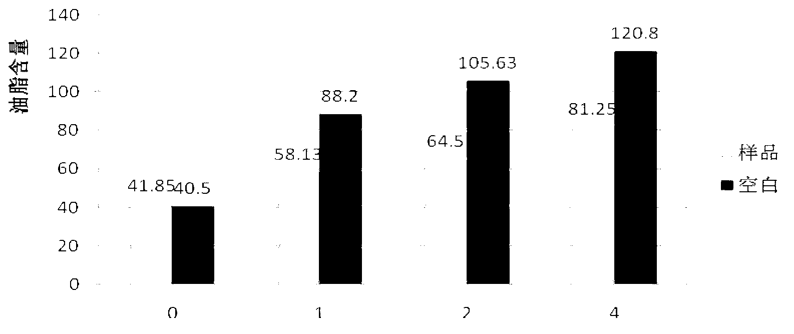 Skincare composition and lotion with anti-acne effect, and preparation method of skincare composition