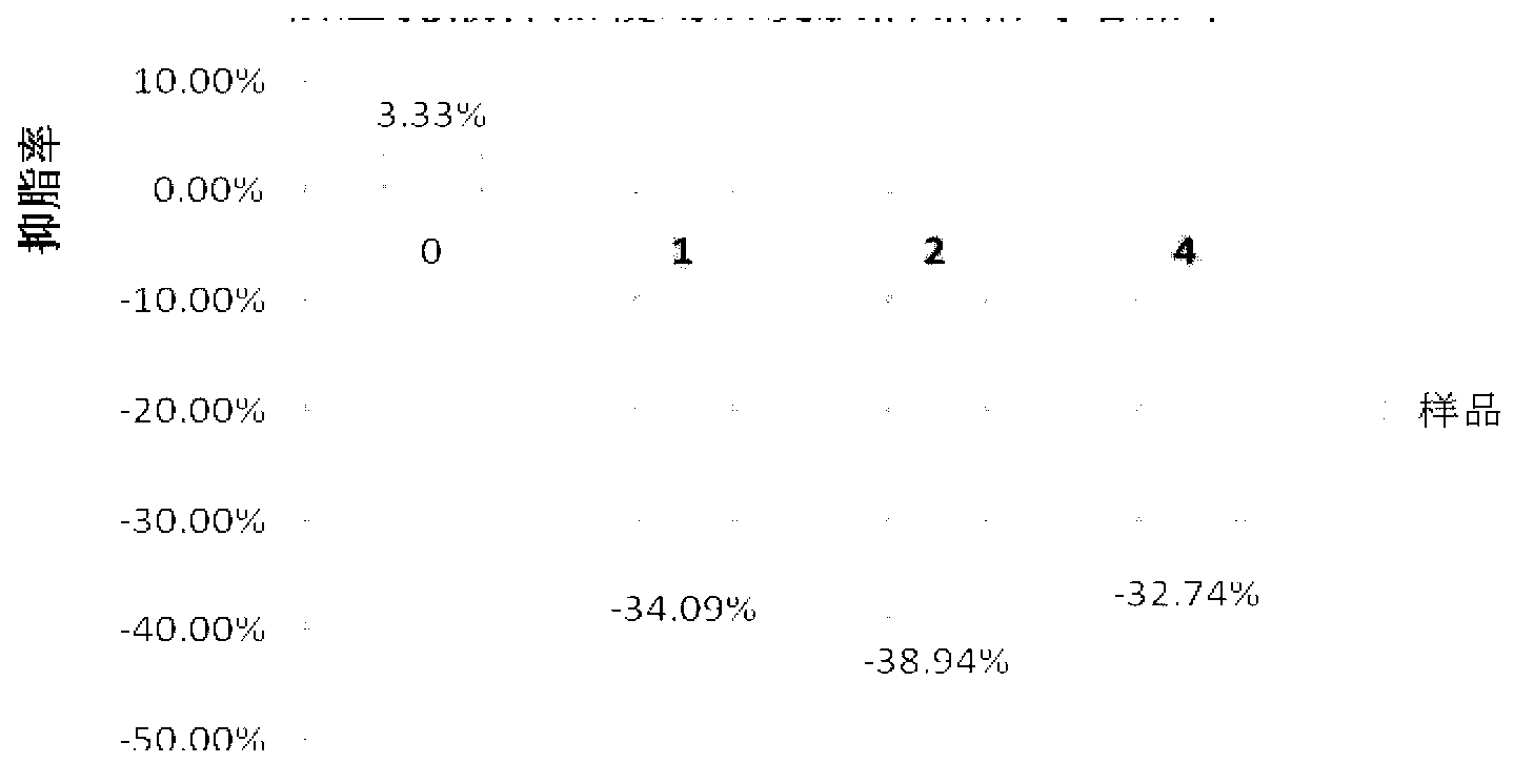 Skincare composition and lotion with anti-acne effect, and preparation method of skincare composition