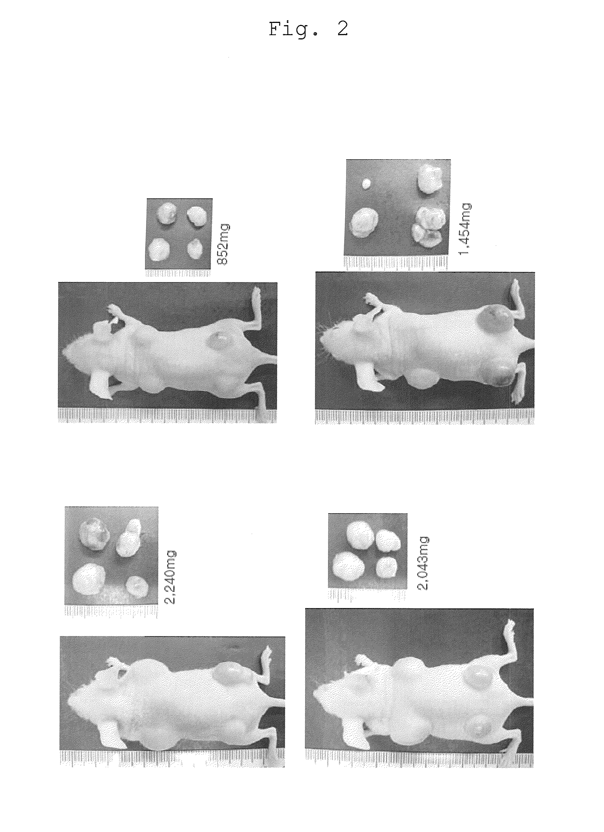 Method of efficiently establishing induced pluripotent stem cells