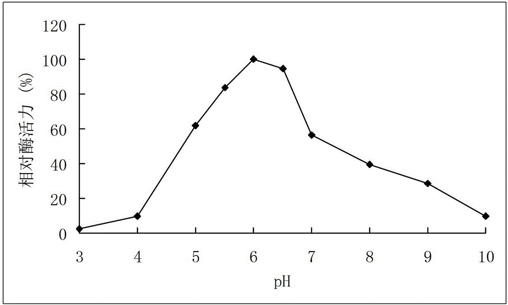 High-temperature resistance arabinfuranosidease Abf51B8, as well as gene and application thereof