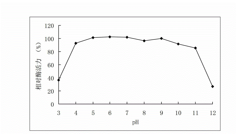 High-temperature resistance arabinfuranosidease Abf51B8, as well as gene and application thereof