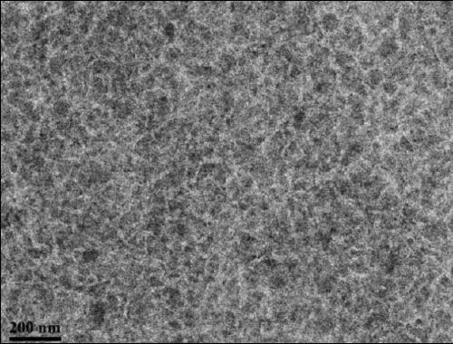 Artificial cell membrane coating microcarrier for cell culture and preparation method thereof