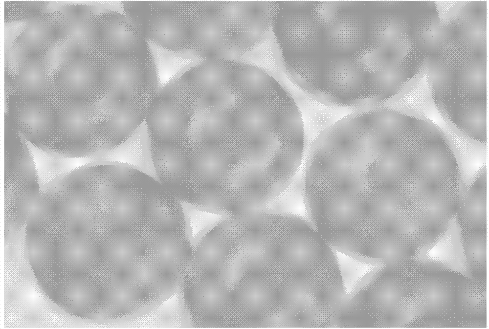 Method for preparing crosslinked-chitosan-system azo dye wastewater adsorbent