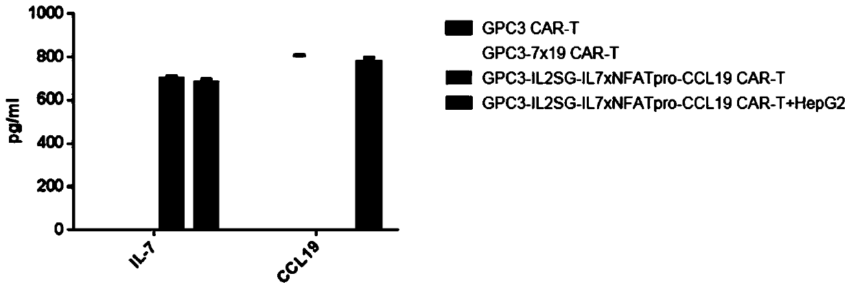 Chimeric antigen receptor T cell and application thereof