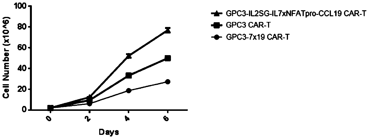 Chimeric antigen receptor T cell and application thereof