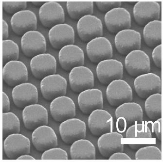 A precise vaccine preparation method based on soft etching and layer-by-layer self-assembly technology