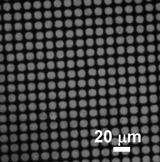 A precise vaccine preparation method based on soft etching and layer-by-layer self-assembly technology