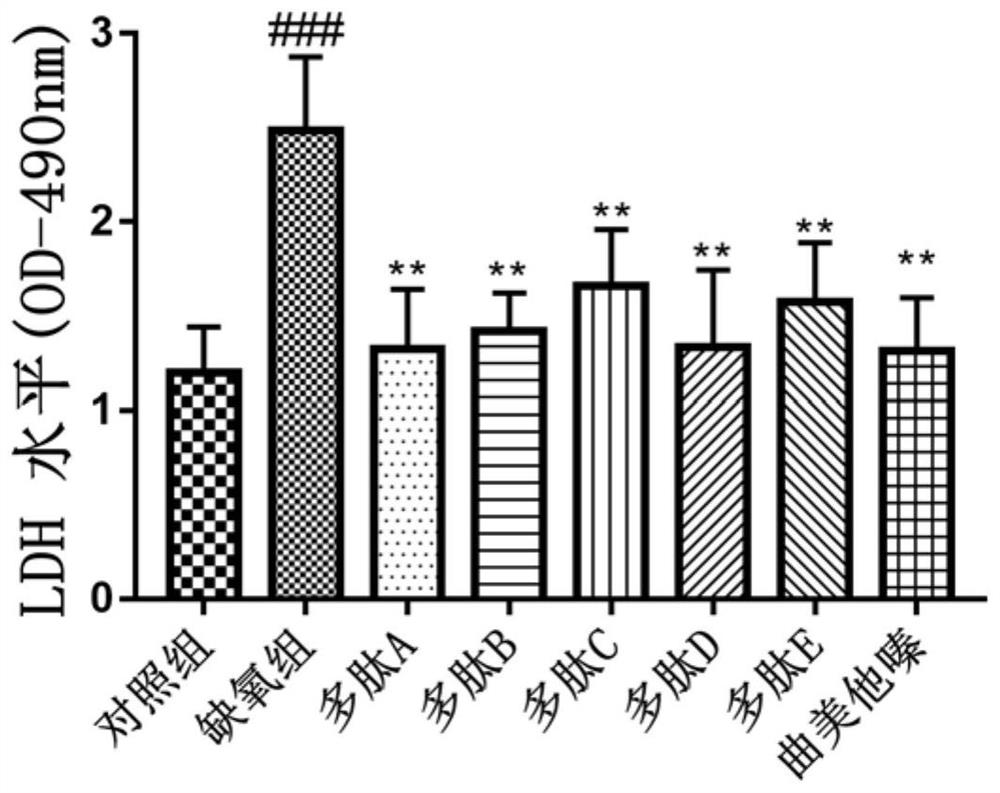 Anti-myocardial ischemia-hypoxia polypeptide, composition and application thereof, and polypeptide drug