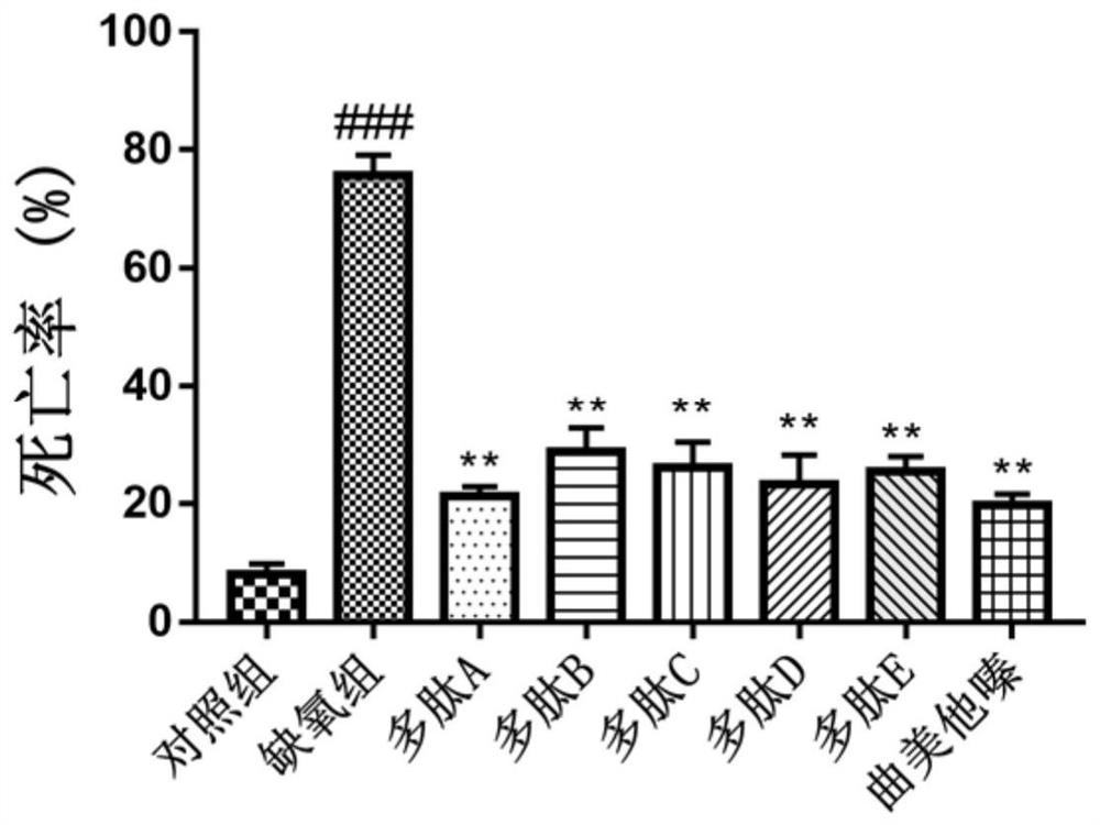 Anti-myocardial ischemia-hypoxia polypeptide, composition and application thereof, and polypeptide drug