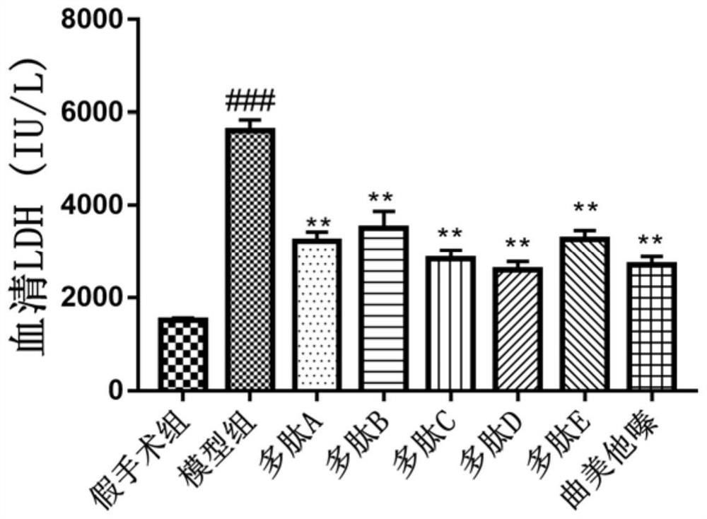 Anti-myocardial ischemia-hypoxia polypeptide, composition and application thereof, and polypeptide drug