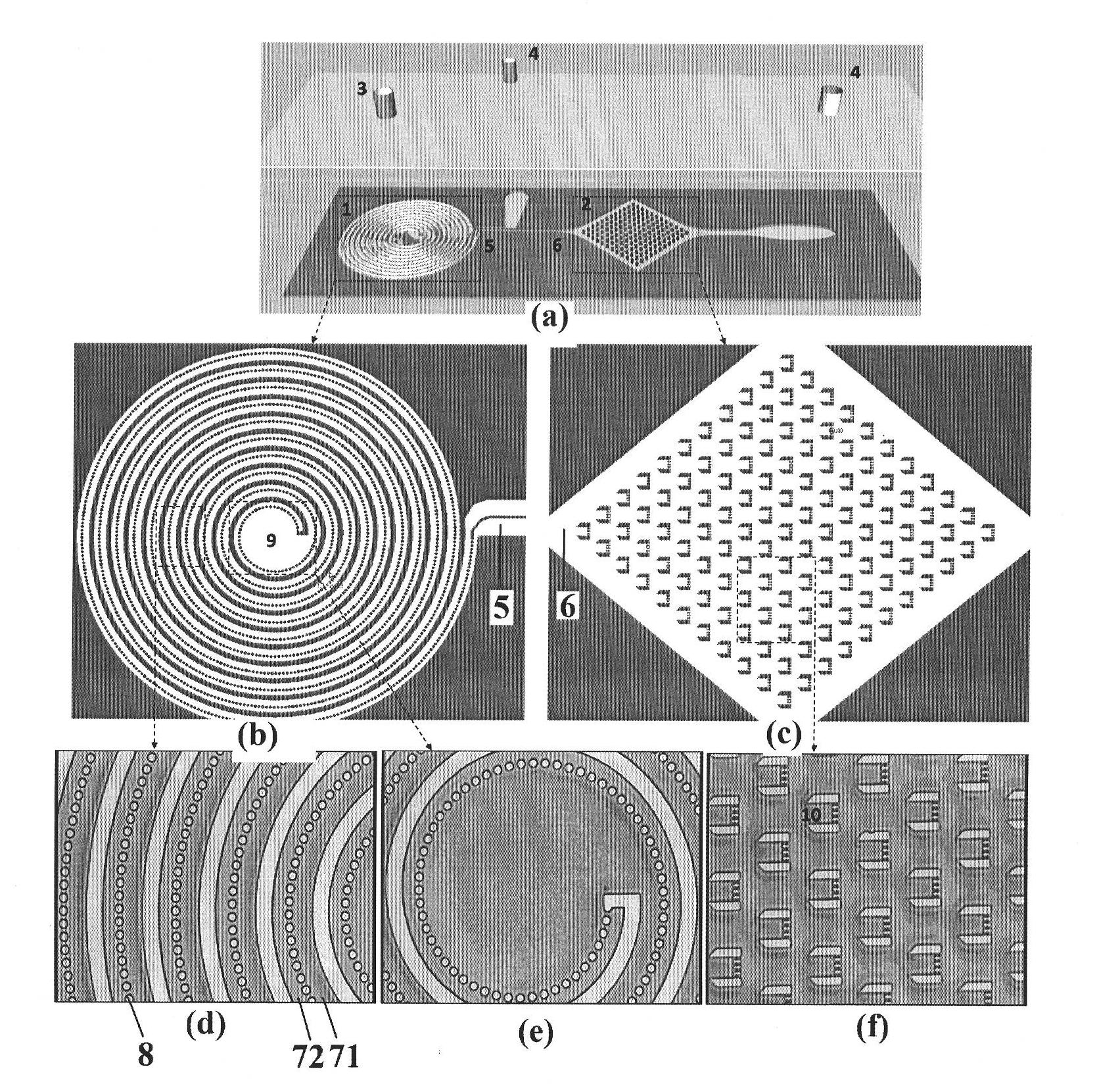 Biochip and preparation method thereof