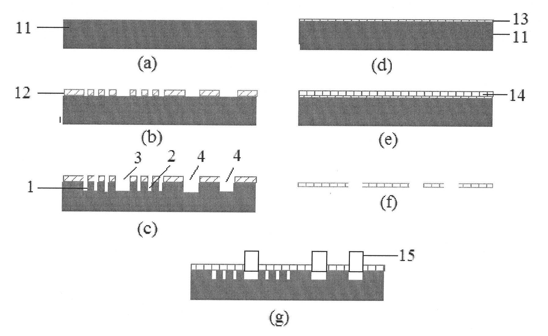 Biochip and preparation method thereof