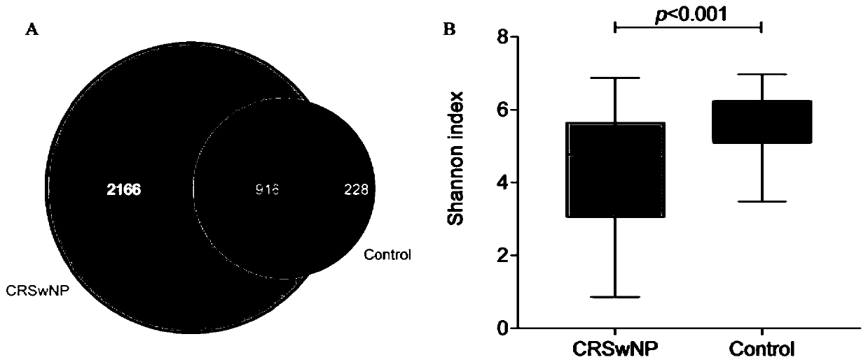 Application of flora abundance testing sample to preparing nasal polyp and prognostic testing agent thereof