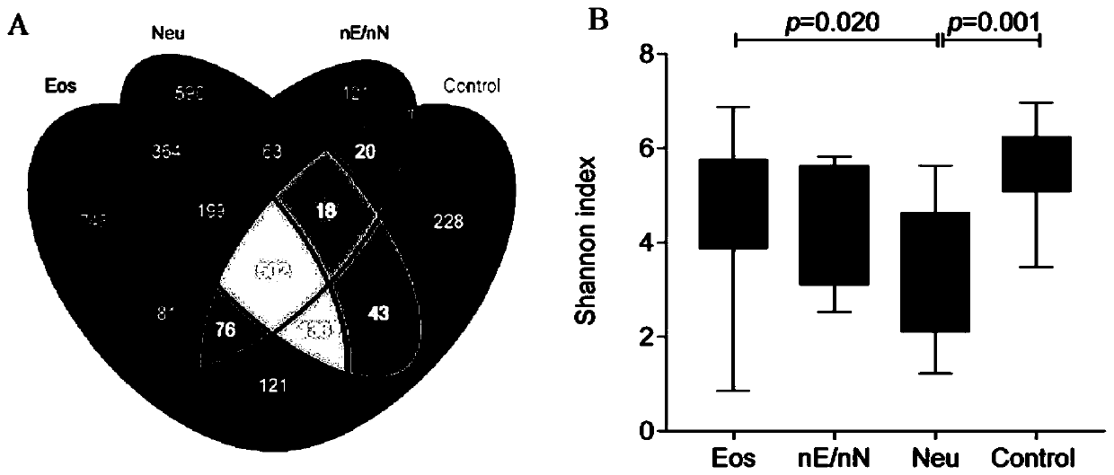 Application of flora abundance testing sample to preparing nasal polyp and prognostic testing agent thereof