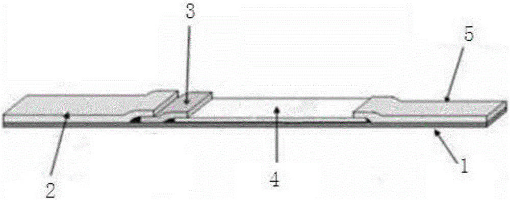 Lateral chromatographic test paper for chemical detection and detection method of lateral chromatographic test paper