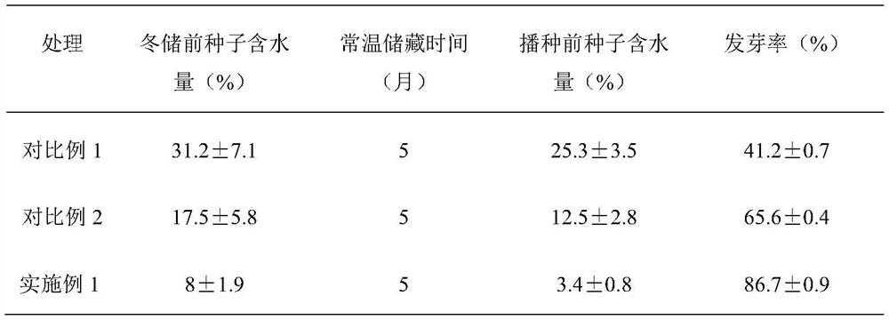 High-yield cyperus esculentus cultivation method suitable for sandy loam in arid region