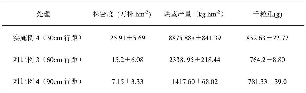 High-yield cyperus esculentus cultivation method suitable for sandy loam in arid region