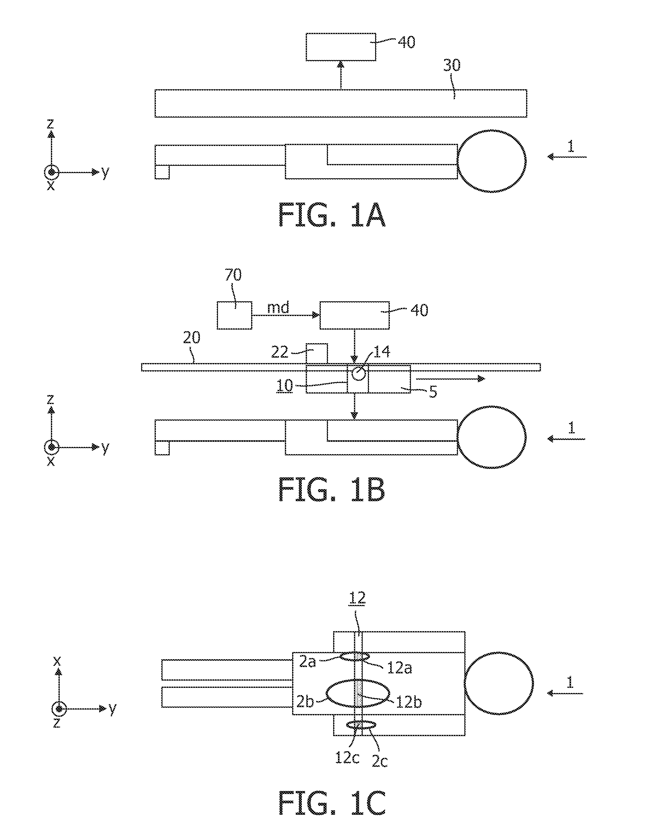 Skin radiation apparatus and method