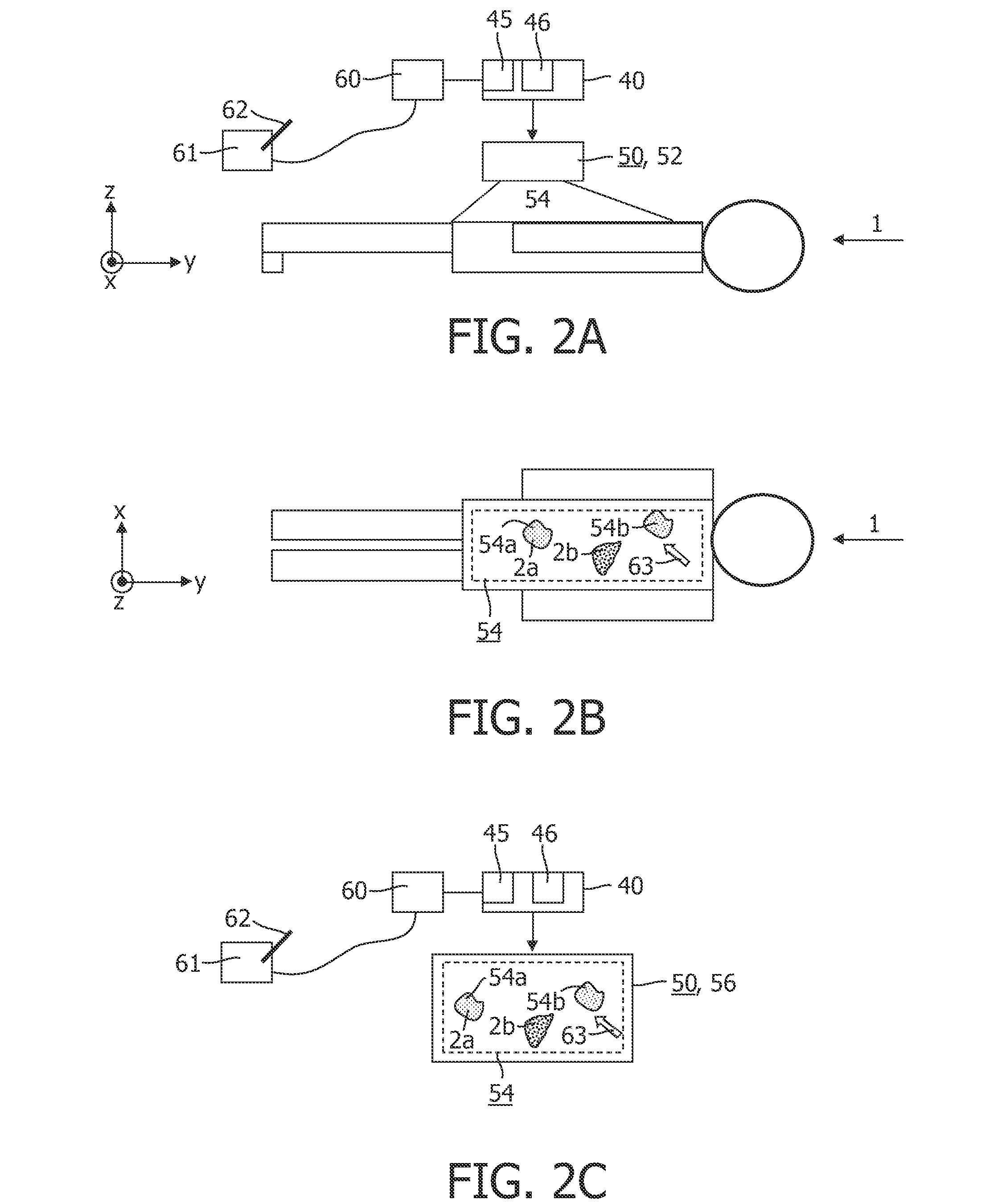 Skin radiation apparatus and method