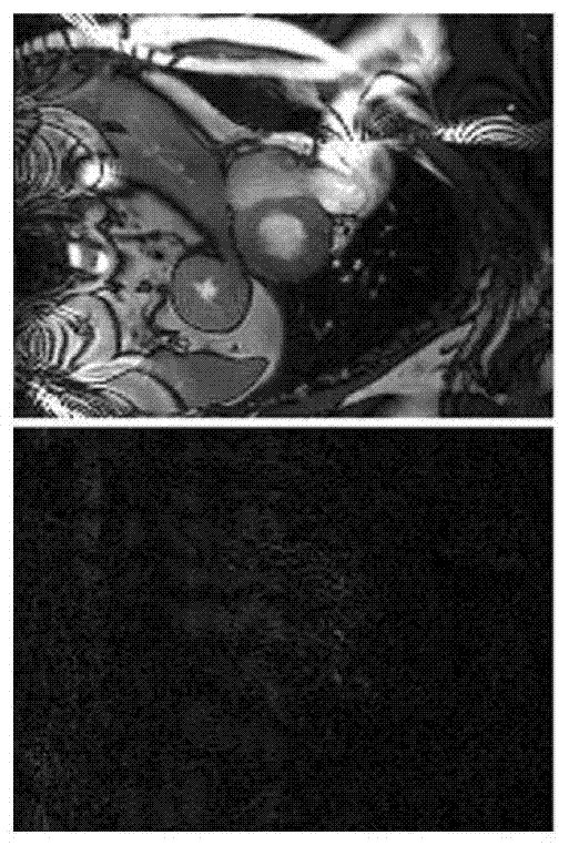 Dynamic contrast-enhanced magnetic resonance imaging method and system