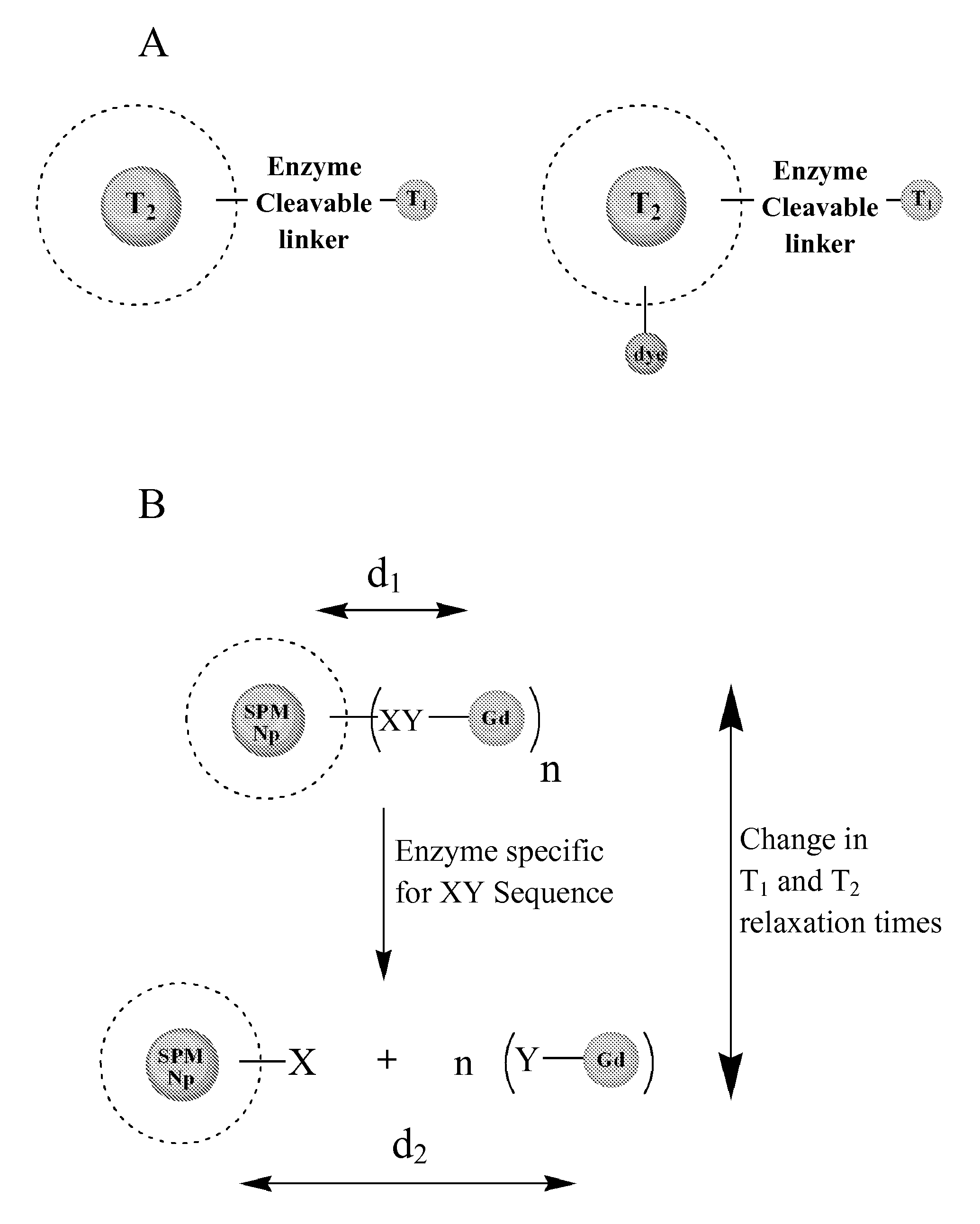 Contrast agents