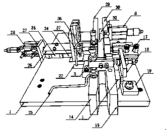 Ferrule quality detection device