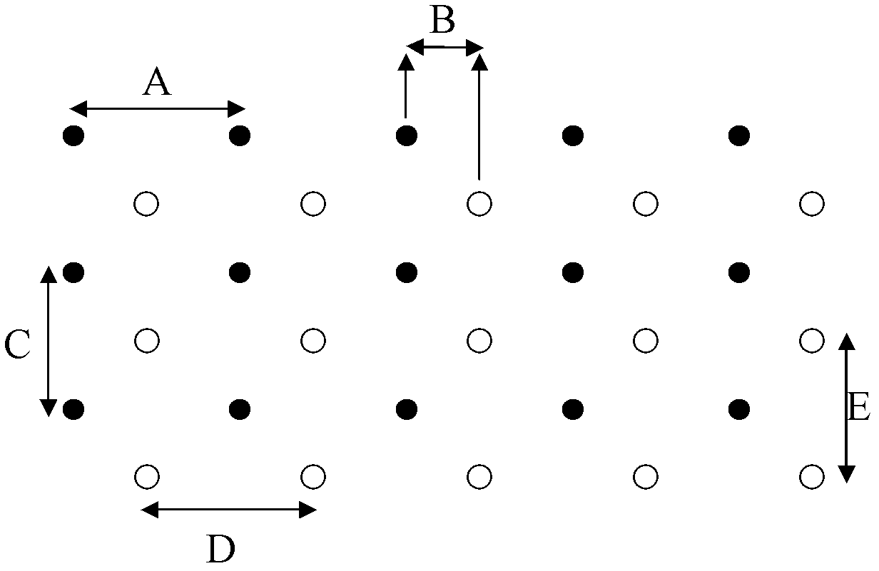 Method for intercropping pepper with areca catechu