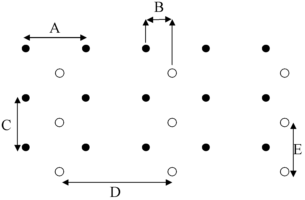 Method for intercropping pepper with areca catechu