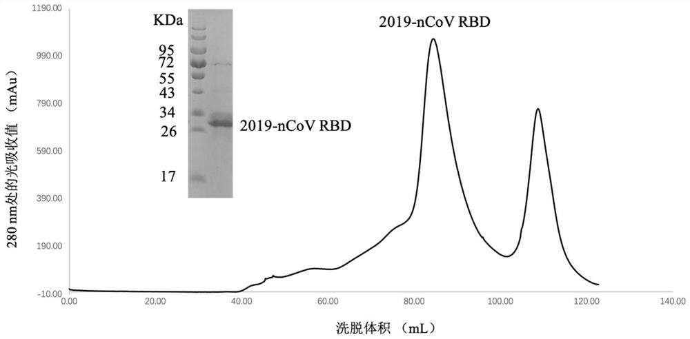 A kind of monoclonal antibody against novel coronavirus and application thereof