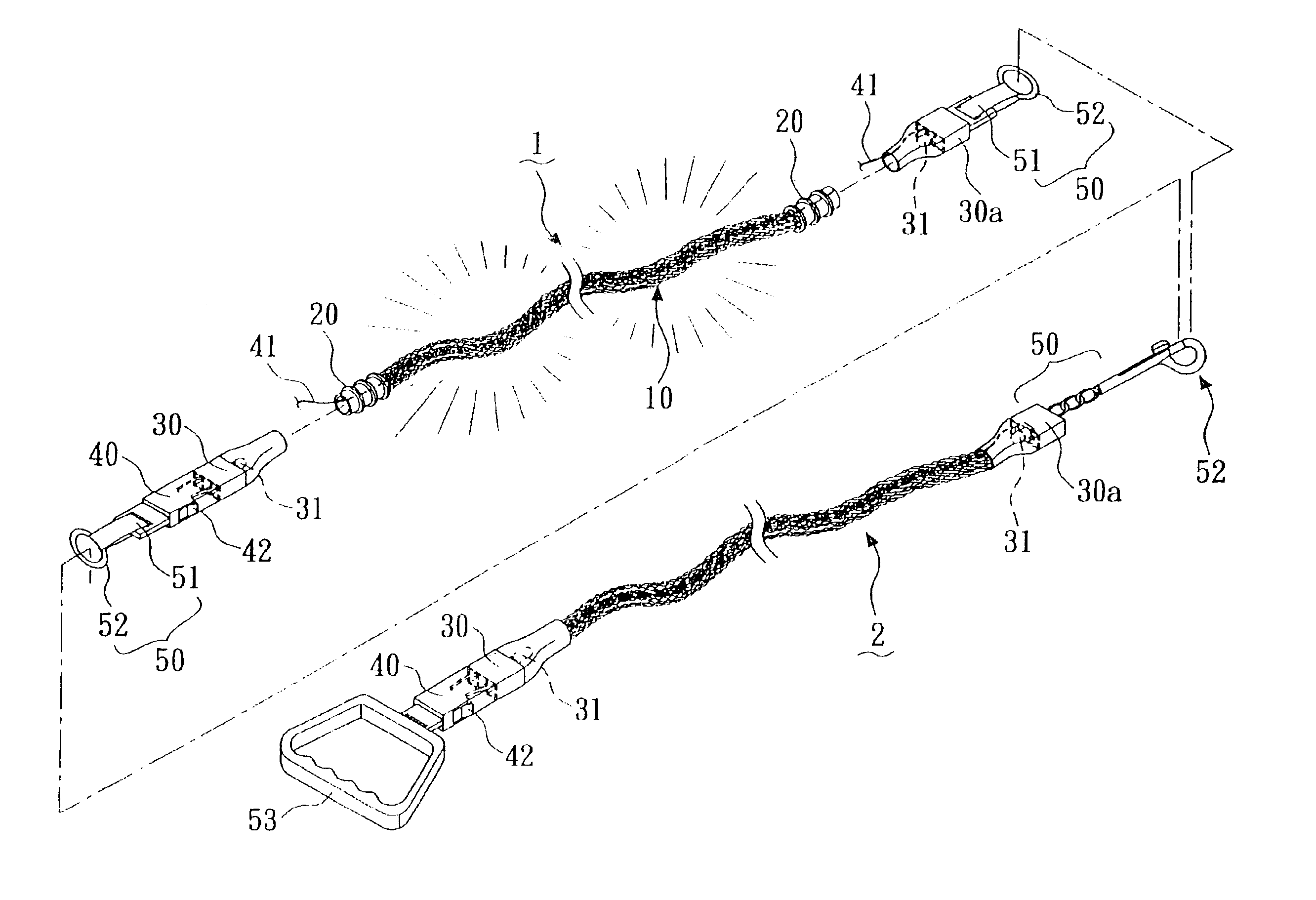 Structure of luminous pet lead