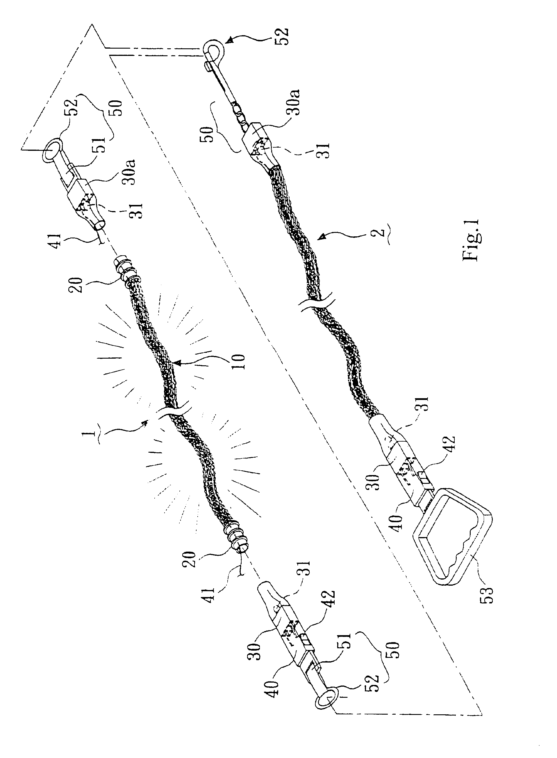 Structure of luminous pet lead