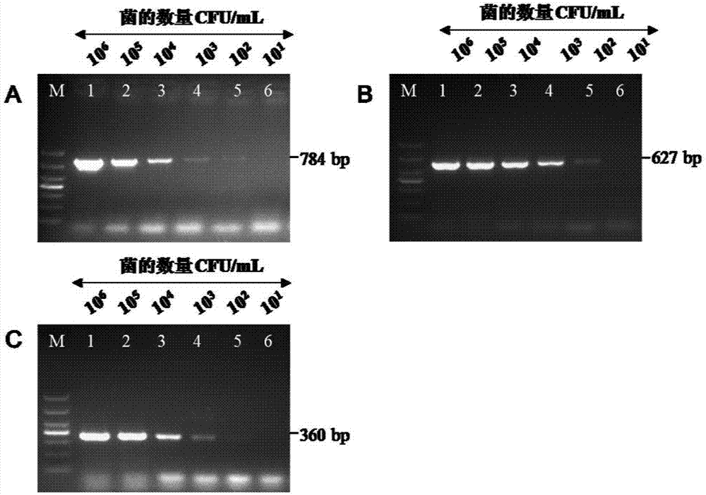 Method for simultaneously detecting salmonella typhimurium, escherichia coli O157:H7 and listeria monocytogenesis